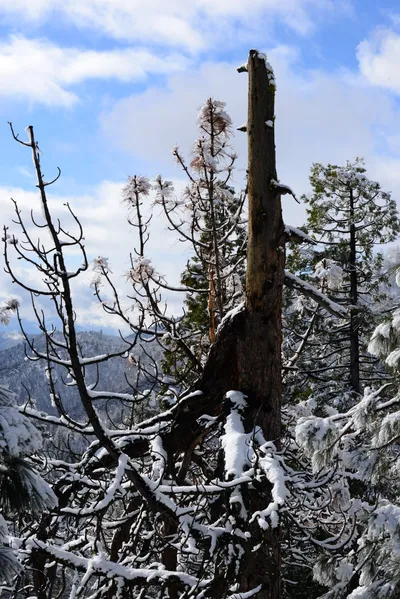 DSC_0782 (Large).JPG